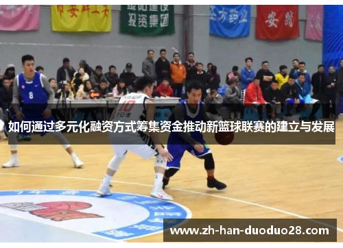 如何通过多元化融资方式筹集资金推动新篮球联赛的建立与发展