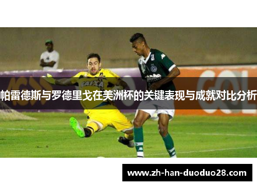 帕雷德斯与罗德里戈在美洲杯的关键表现与成就对比分析