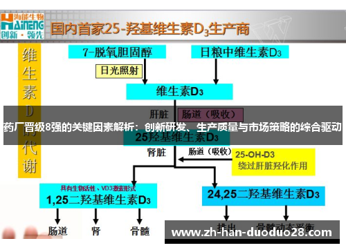 药厂晋级8强的关键因素解析：创新研发、生产质量与市场策略的综合驱动