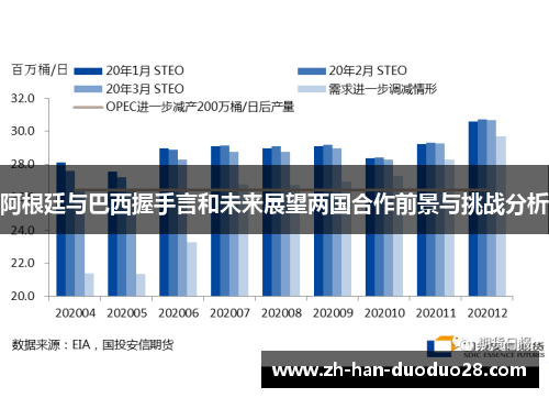 阿根廷与巴西握手言和未来展望两国合作前景与挑战分析