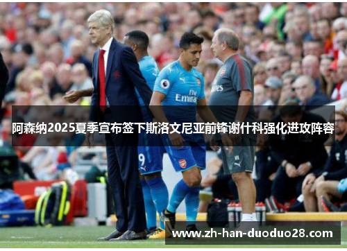阿森纳2025夏季宣布签下斯洛文尼亚前锋谢什科强化进攻阵容