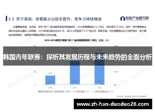 韩国青年联赛：探析其发展历程与未来趋势的全面分析